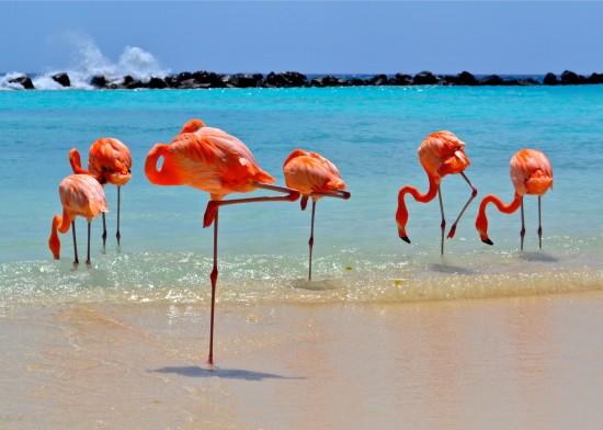 Aruba
