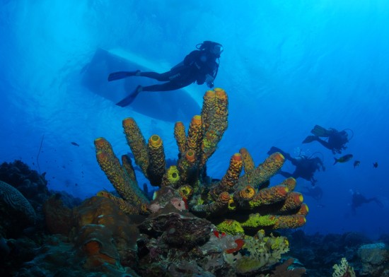 Bonaire